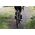 Vredestein Opona gravel VREDESTEIN Aventura Grezzo, 27,5x2.00 (50-584), Zwijana, TPI120, TLR, Czarna (NEW)