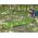 Bestway Bestway Materac karimata pod śpiwór WanderLite Large 198x71cm 69616