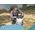 Bestway Bestway materac karimata pod śpiwór AlpineLite 183 x 63,5 x 7,5cm 69613