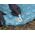 Bestway Bestway materac karimata pod śpiwór AlpineLite 183 x 63,5 x 7,5cm 69613