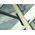 Sourcing Breaker for boards EDMA LIT UP