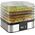 Suszarka Guzzanti Fruit dryer Guzzanti GZ-508