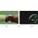 Smartwatch Google Pixel Watch 3 (45mm) WiFi obsidian