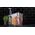 G21 Sous Vide container G21, 600914, 7l