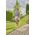 Gardena GARDENA ComfortCut Li Akku-Strauch- und Grasschere 3,6 V