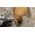 Dremel DREMEL TARCZE POLERSKIE P180, P280 MAX EZ SPEEDCLIC S511DM