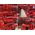 Sourcing MILWAUKEE GENERAL PURPOSE GLOVES S/7/12 pairs