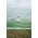 Sourcing GREENHOUSE GARDEN TUNNEL 3x6m GREEN