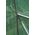 Sourcing GREENHOUSE GARDEN TUNNEL 3x6m GREEN