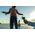 Kamera GoPro GoPro HERO13 Black Creator Edition