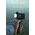 Kamera GoPro GoPro HERO13 Black Creator Edition