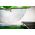 Zipper Zipper ZI-STM350 Stone Cutting Machine