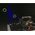 Evolights EVOLIGHTS LASER RGB 1W animacyjny ILDA