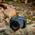 Lustrzanka Canon Canon EOS RP + RF 24-105mm f/4L IS USM + Mount Adapter EF-EOS R