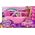 Sparkle Girlz SPARKLE GIRLZ remote control Car With Magic Wand, 100299