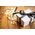 Brother Brother TZE-R334, PTH100, PT-H110, PTH100, PT-E300VP, PT-H500, PT-P750W, PTH100, PT-P900W, Gold, Thermal transfer, Black, Brother, 1.2 cm