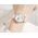 Smartwatch Colmi Smartwatch Colmi L10 (Srebrny)