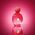 Antonio Banderas Kvapusis vanduo Antonio Banderas The Icon Woman EDP, 50 ml