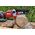 Piła łańcuchowa Sourcing SAW CHAIN MINI FOR 0512/0514 SKIL
