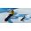 Selfie stick Insta360 Uchwyt selfie Insta360 (85cm)