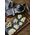 De Buyer De Buyer Mandoline Swing Plus green