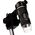 Mikroskop Veho DX-2 Discovery 300x USB 5MP
