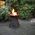 Palenisko ogrodowe Esschert Design FIRE BASKET/FIRE BOWL TURNABLE