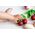 Oli&Carol Oli&Carol Mery the Cherry teether, 0+