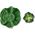 Oli&Carol Oli&Carol Kendall the Kale Mini Doudou-Teether, 0+