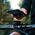 Fidlock Fidlock VACUUM handlebar base 2.0