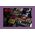 Telewizor Kruger&Matz Telewizor Kruger&amp|Matz 43&quot| FHD smart DVB-T2/S2 H.265 Hevc