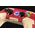Pad Ipega Kontroler bezprzewodowy / GamePad iPega PG-P4020A touchpad PS4 (czerwony)