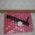 Dell Button Board Touchpad for