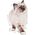 Royal Canin Kitten galaretka 85g