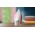 Philips DST2010/40 WEU STEAM IRON RED