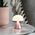 Lampka biurkowa Lexon Lexon Mina Mini LED Lamp pink/pink LH60MLP