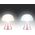 Lampka biurkowa Lexon Lexon Mina Mini LED Lamp pink/pink LH60MLP