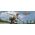 Dron DJI DJI Neo Motion Fly More Combo