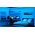 Taśma LED WiZ WiZ Smart WiFi RGB LED strip, 4m|5.3 W|RGB