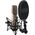 Mikrofon Rode NT2-A KIT