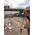 Bosch GOL 26D