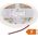 Taśma LED MW Lighting TAŚMA LED LED-COB-12V/8W-CW/5M - 6500&nbsp|K MW Lighting