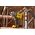 Klucz udarowy Stanley ST KLUCZ UDAROWY V20 SFMCF940M1  949Nm 1x4,0Ah