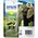Tusz Epson 24XL Claria Photo C13T24344010