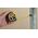 Stanley Miara z magnesem FatMax BladeArmour 5mx32mm (FMHT0-33864)