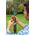 Gardena Trzonek teleskopowy Combisystem 160-290 cm 03720-20