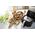 Philips Zestaw przekąsek Philips HD9954 / 01 do urządzenia Airfryer XXL (HD9860, HD9762, HD9750) o pojemności 1,4 kg