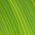 Fiberlogy Filament Fiberlogy Easy PET-G Light Green 1,75mm 850g