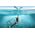 Telesin Obudowa podwodna Telesin Dome Port dla GoPro Hero 9 (GP-DMP-T09)