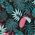 AquaWave Koc piknikowy 140x170cm ALADEEN pink leaves